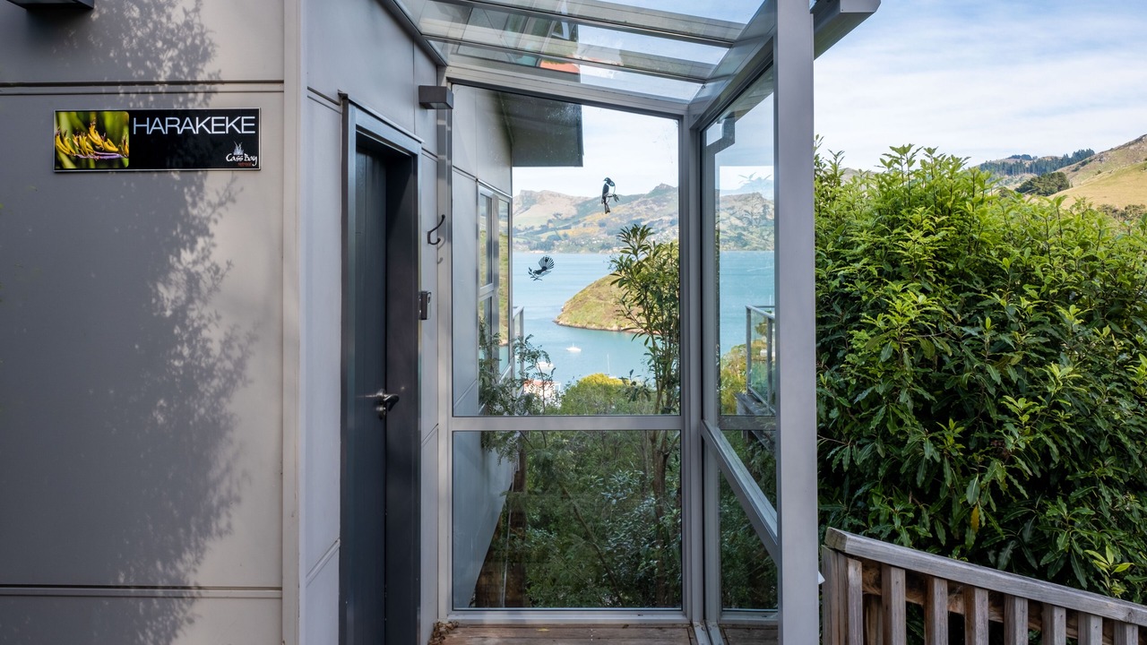 Photo of Outdoor in Christchurch District