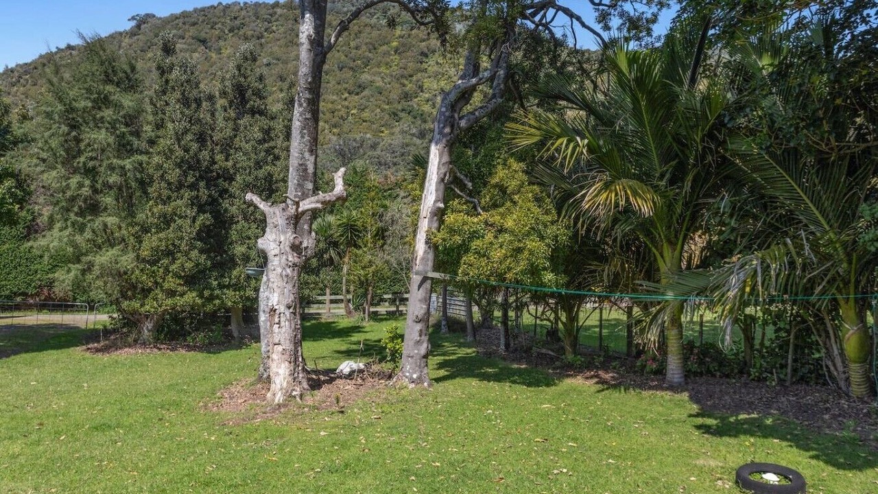 Photo of Others in Waihau Bay