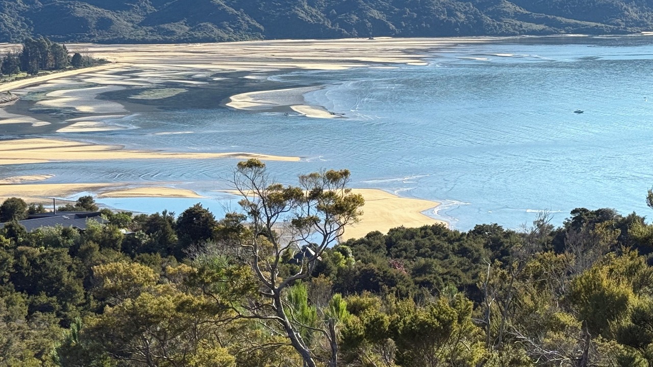 Photo of Outdoor in Ngaio Bay