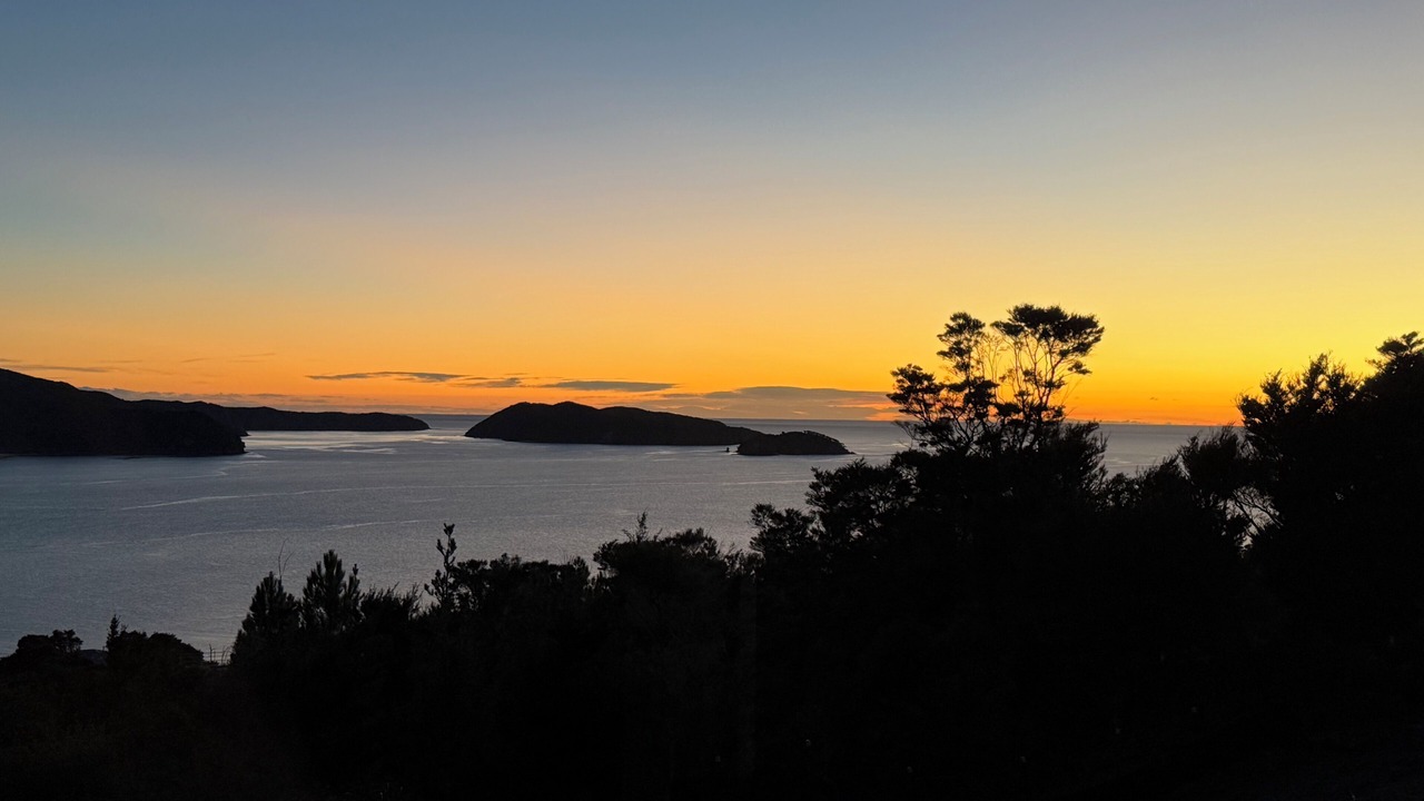 Photo of Others in Ngaio Bay