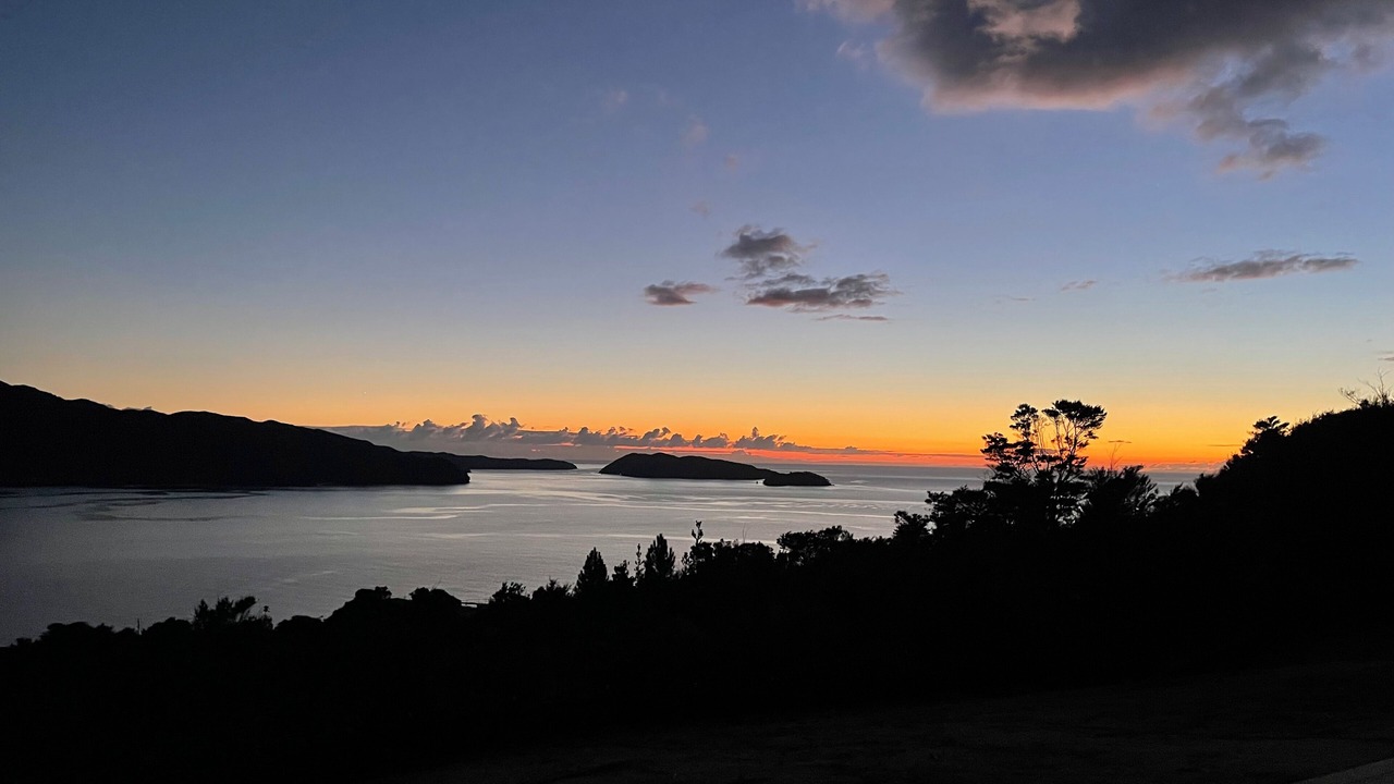 Photo of Others in Ngaio Bay