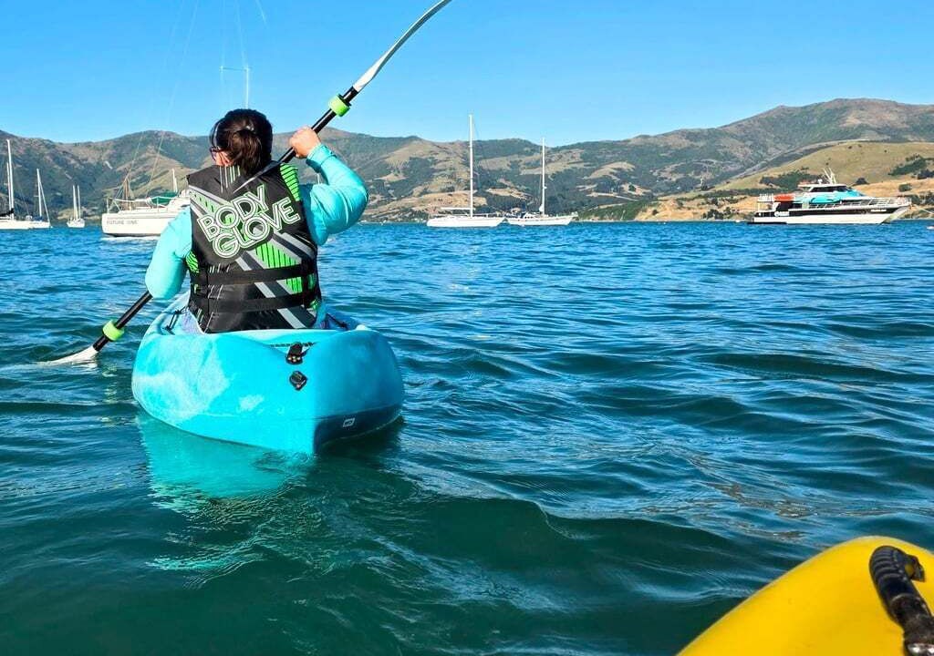 Photo of Others in Akaroa