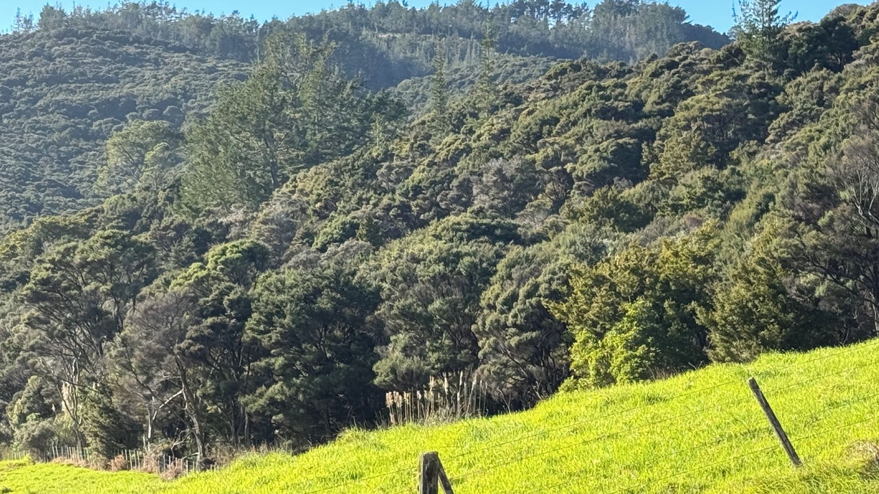 Photo of Others in Onerahi