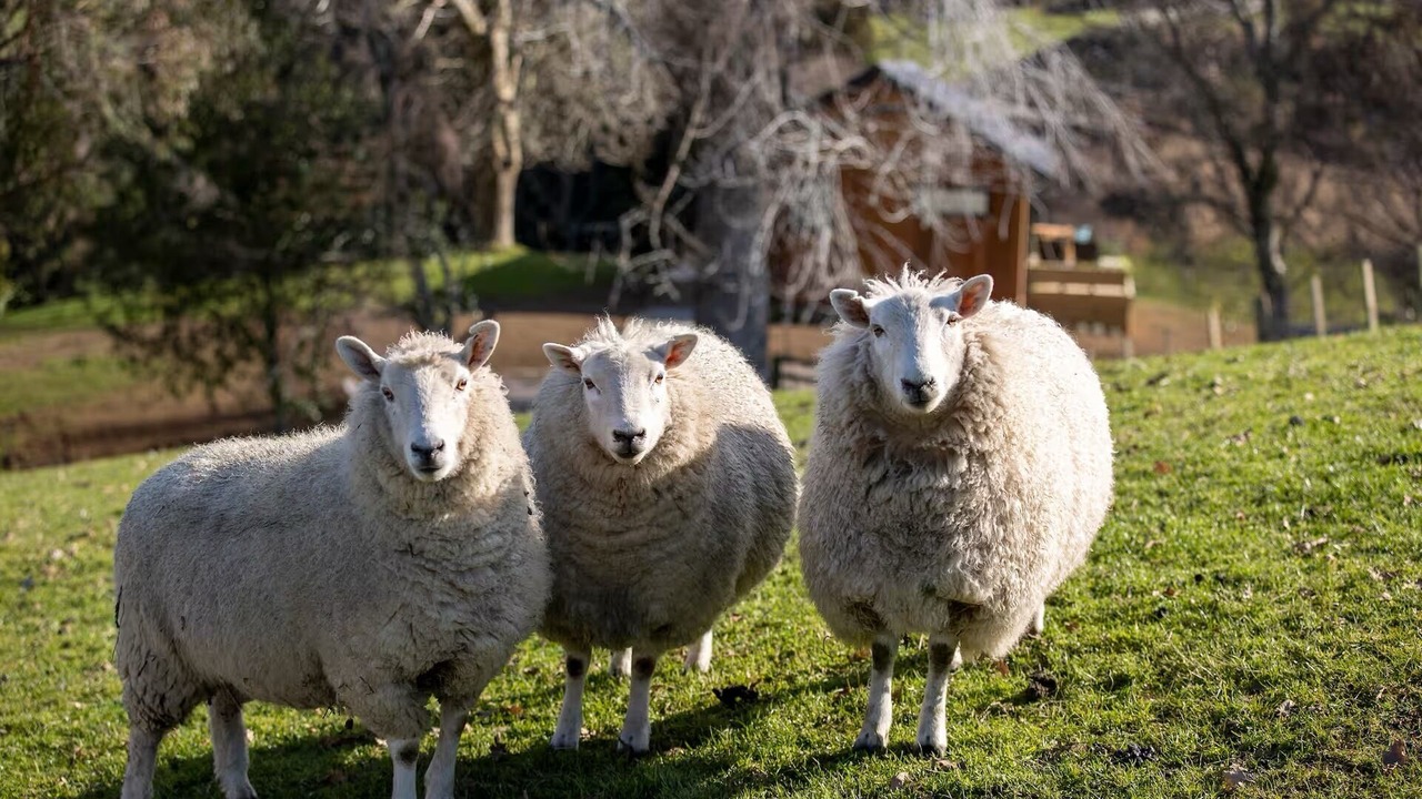 Photo of Others in Hamurana