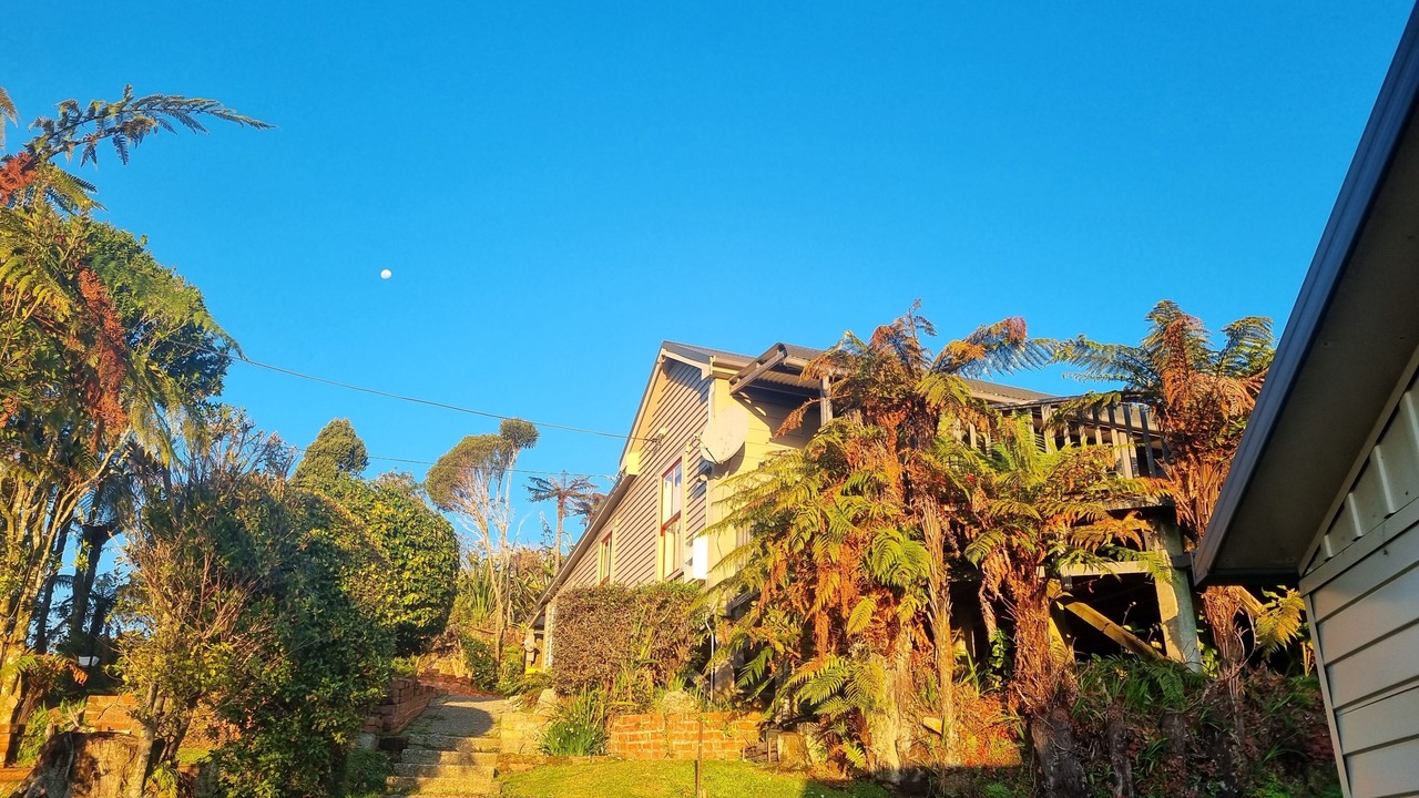 Photo of Outdoor in Ngakawau