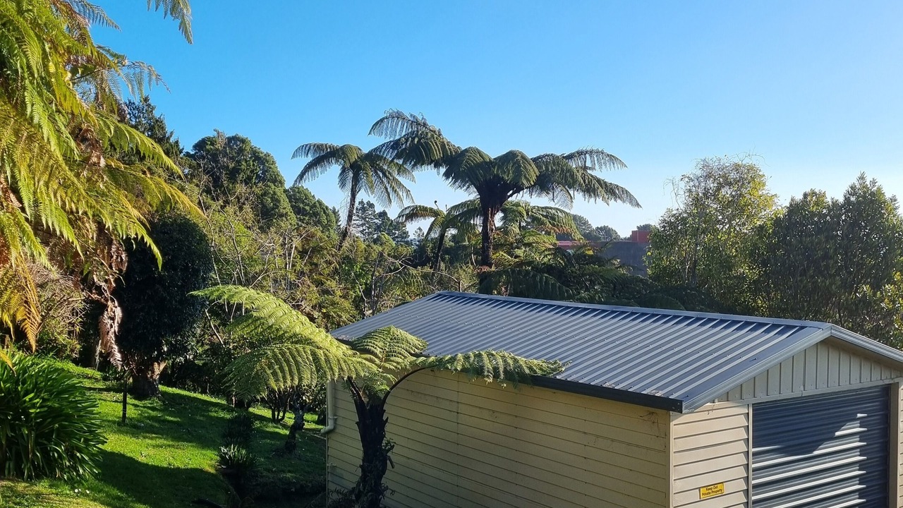 Photo of Outdoor in Ngakawau