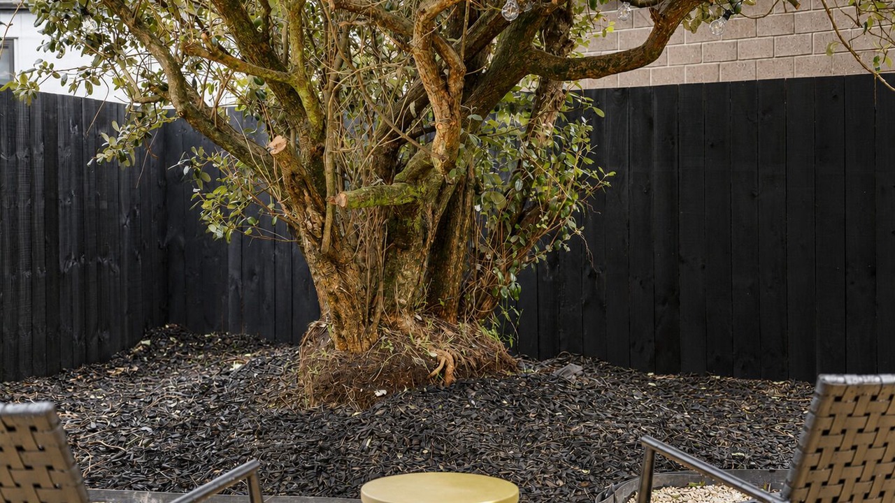 Photo of Outdoor in Otahuhu