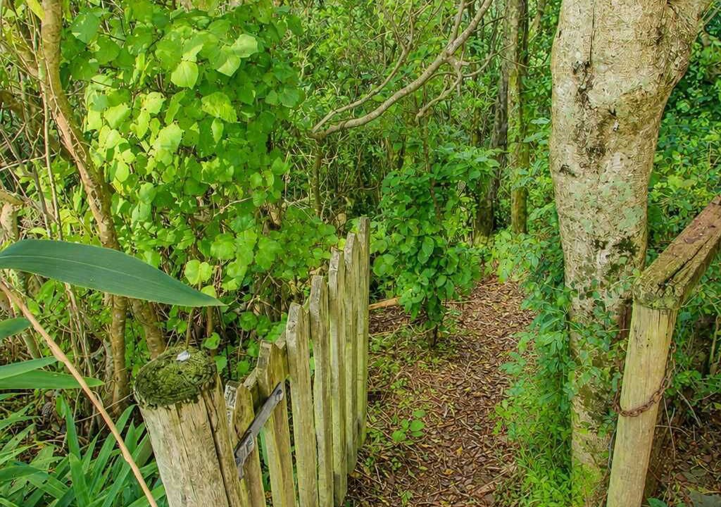 Photo of Outdoor in Onekaka