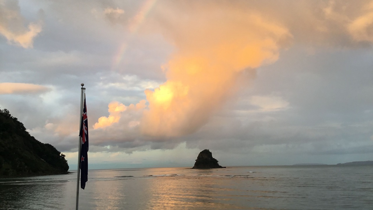 Photo of Others in Waiwera
