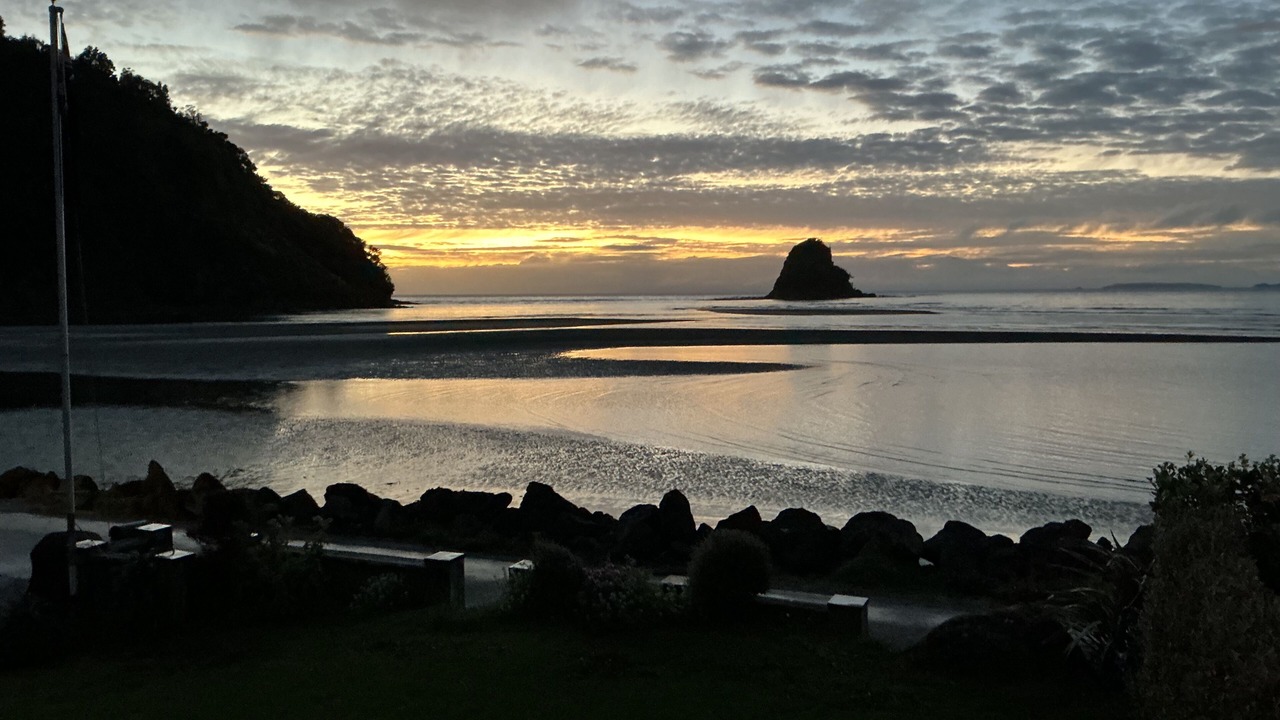 Photo of Others in Waiwera