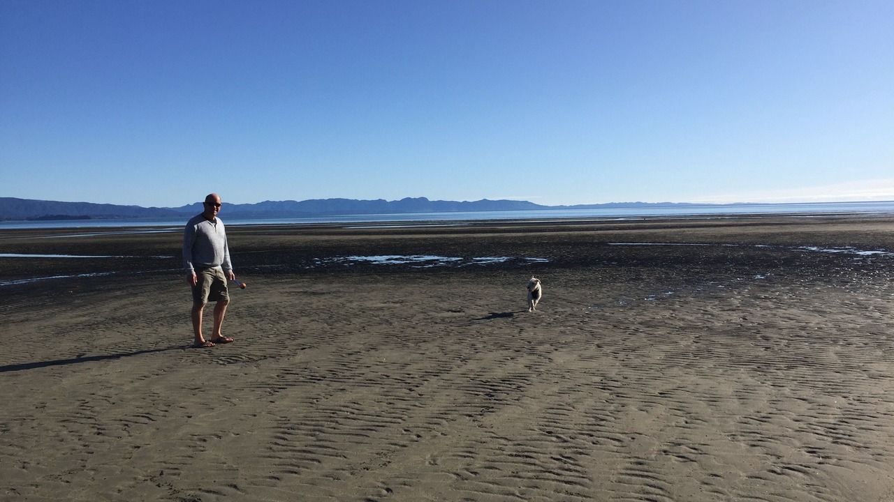 Photo of Others in Tahunanui