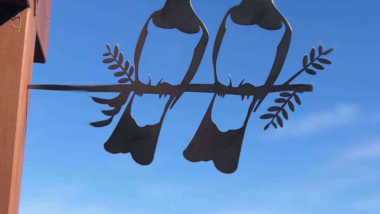 Photo of Outdoor in Tahunanui