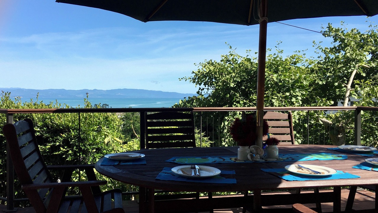 Photo of Outdoor in Tahunanui