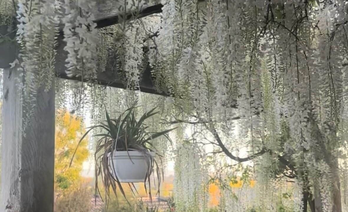 Photo of Outdoor in Blenheim