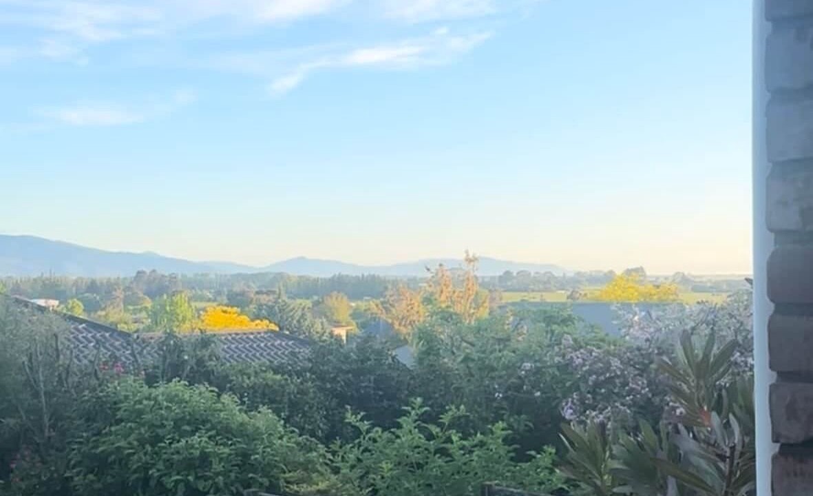 Photo of Outdoor in Blenheim