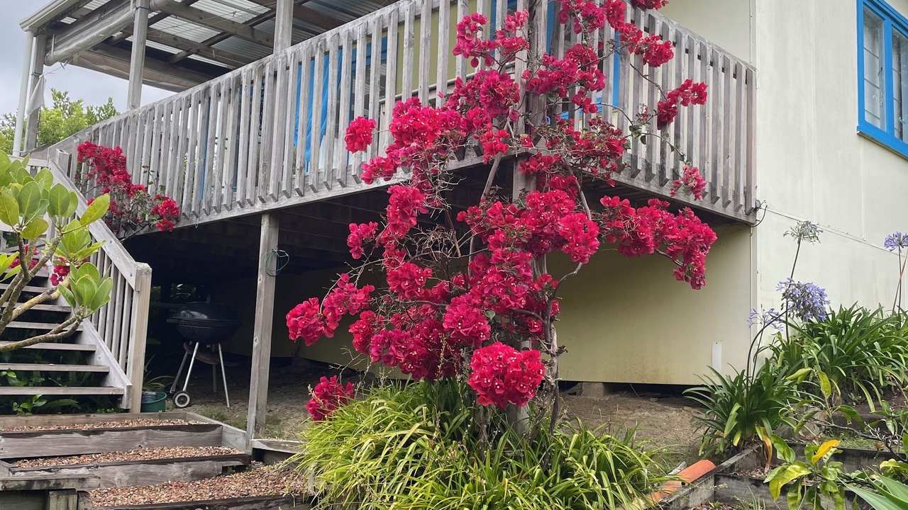 Photo of Outdoor in Waiheke Island