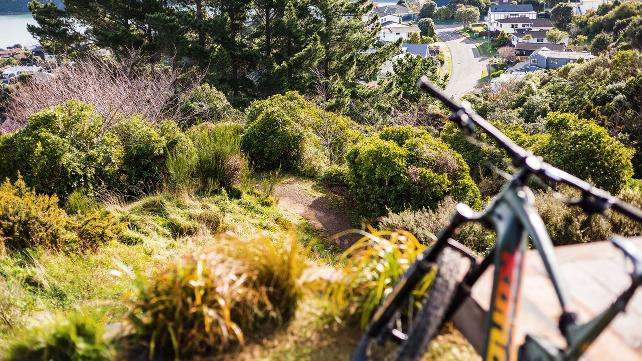 Photo of Others in Porirua