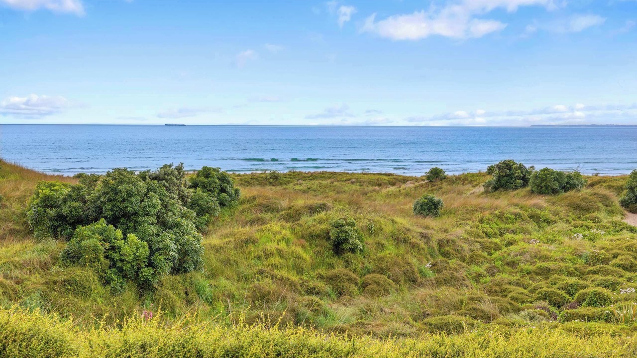 Photo of Others in Papamoa Beach