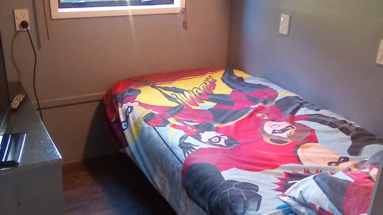 Photo of Bedroom in New Plymouth
