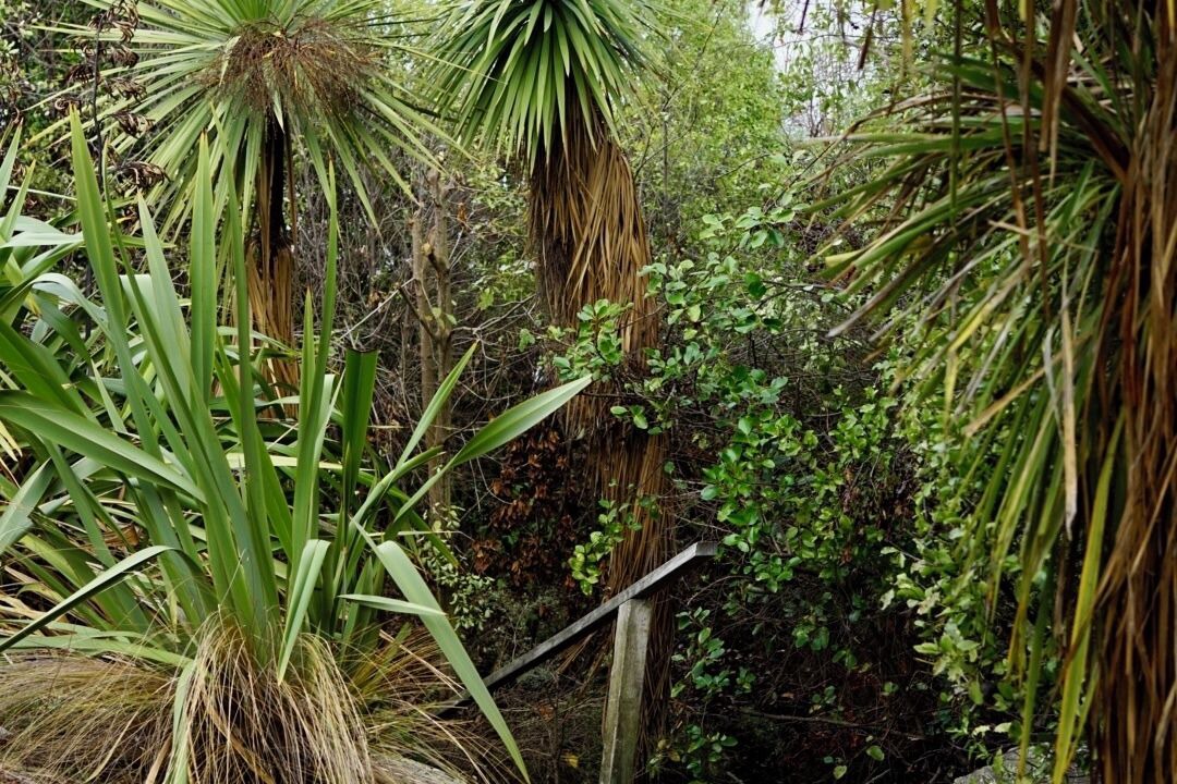 Photo of Outdoor in Kelvin Heights