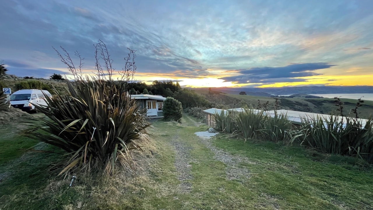 Photo of Outdoor in Dunedin
