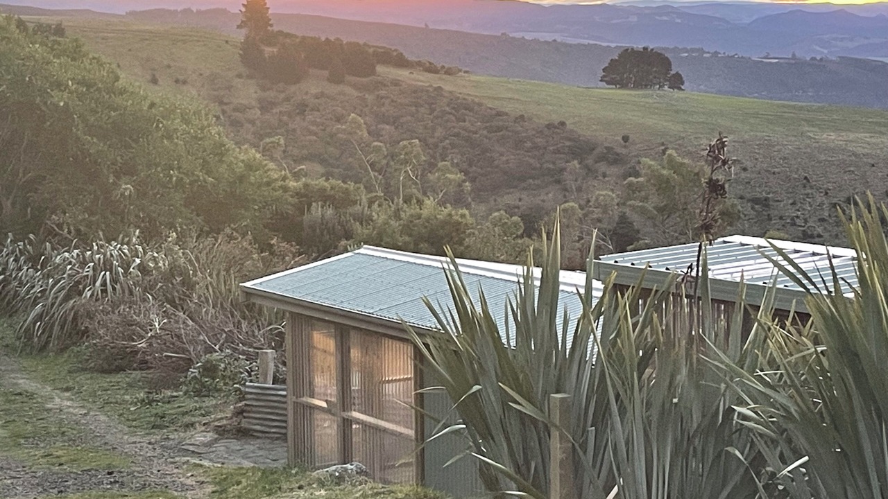 Photo of Outdoor in Dunedin