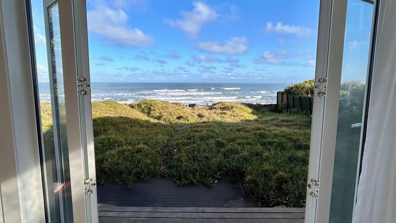 Photo of Others in Te Akau