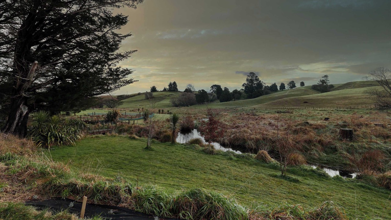 Photo of Others in Puketitiri