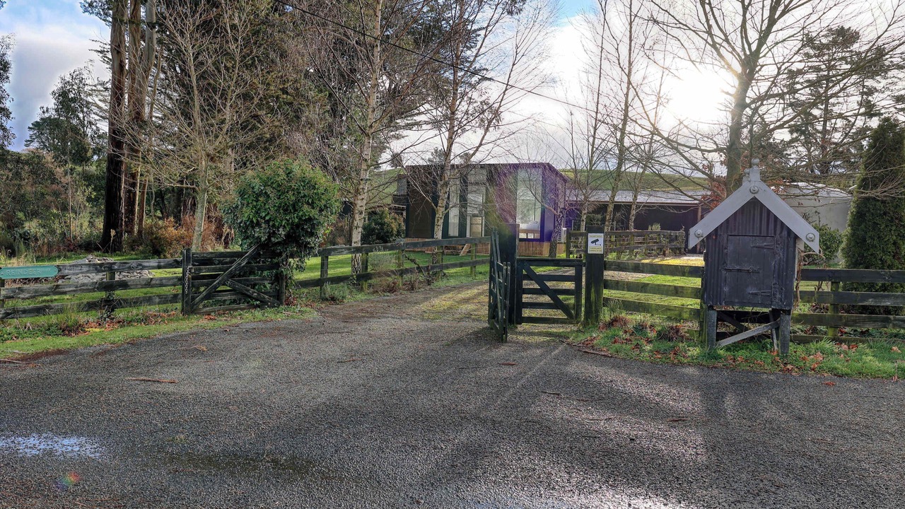 Photo of Outdoor in Puketitiri