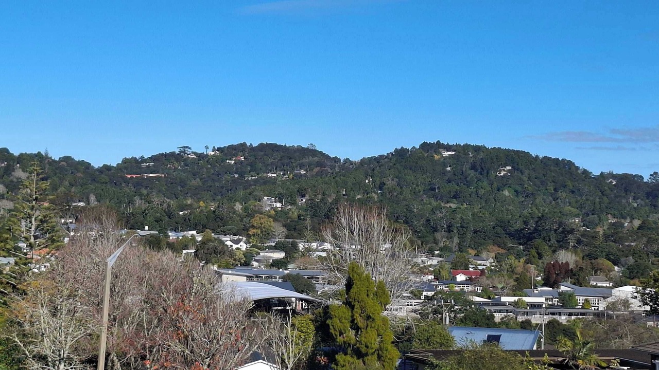 Photo of Others in Glen Eden