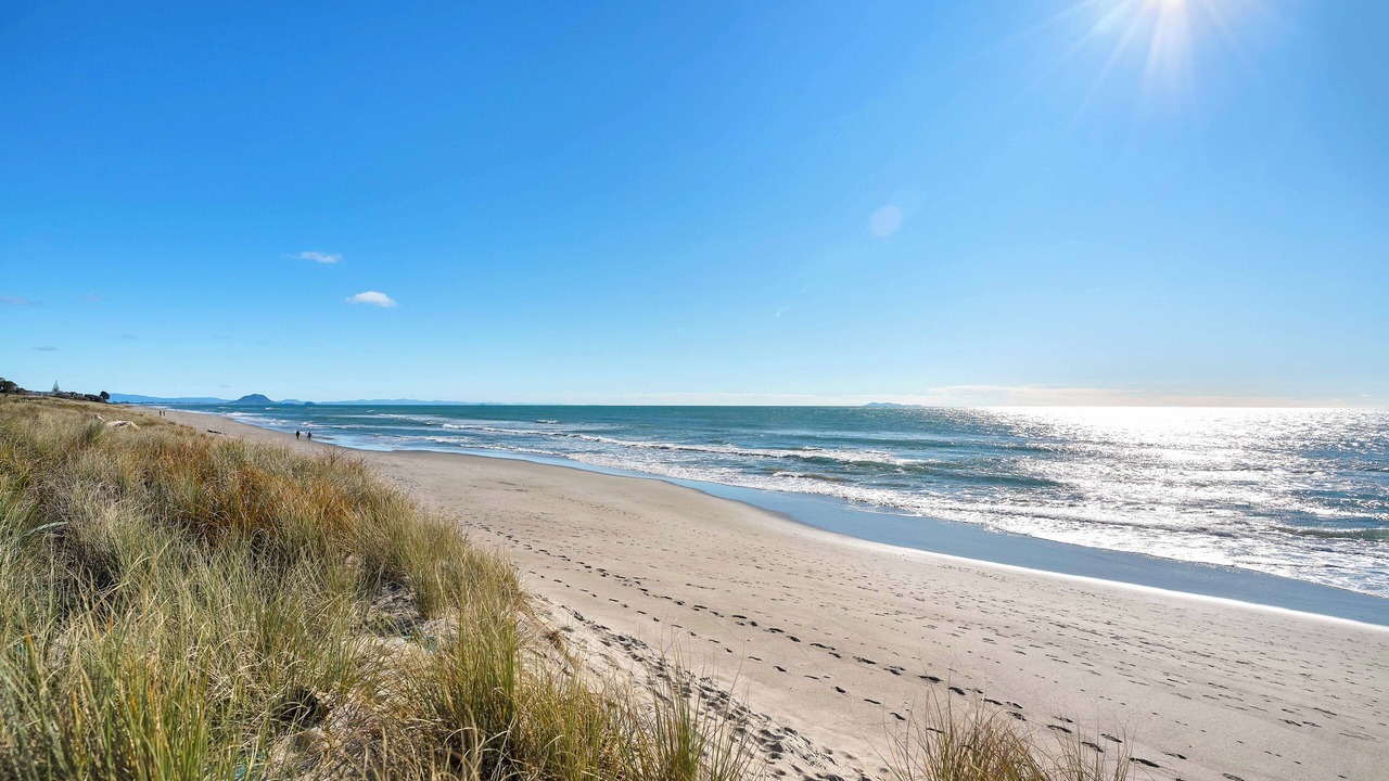 Photo of Others in Papamoa Beach