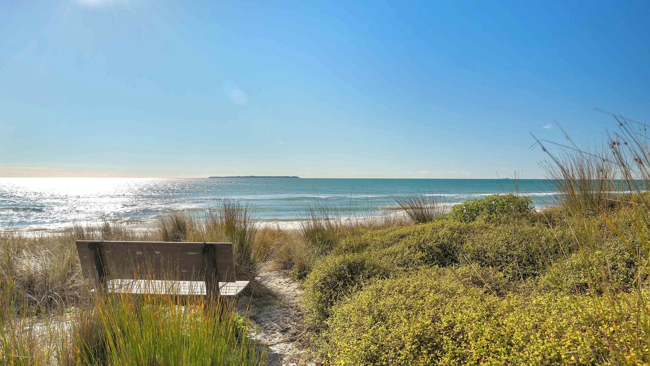 Photo of Others in Papamoa Beach
