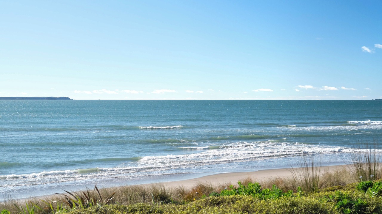 Photo of Others in Papamoa Beach