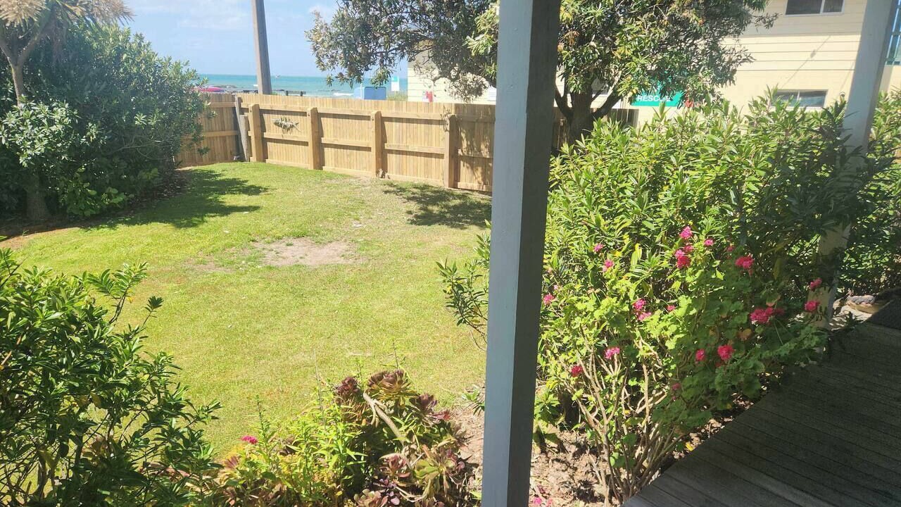 Photo of Outdoor in Kaka Point