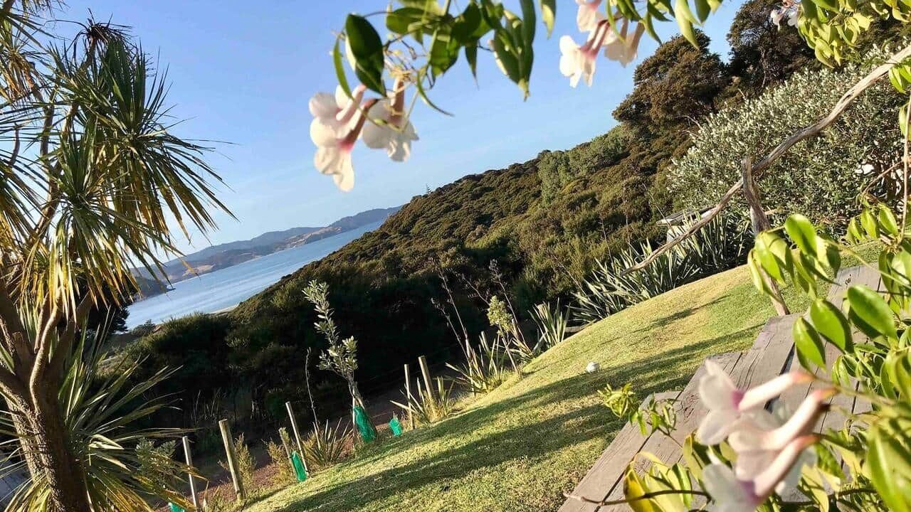 Photo of Outdoor in Tryphena