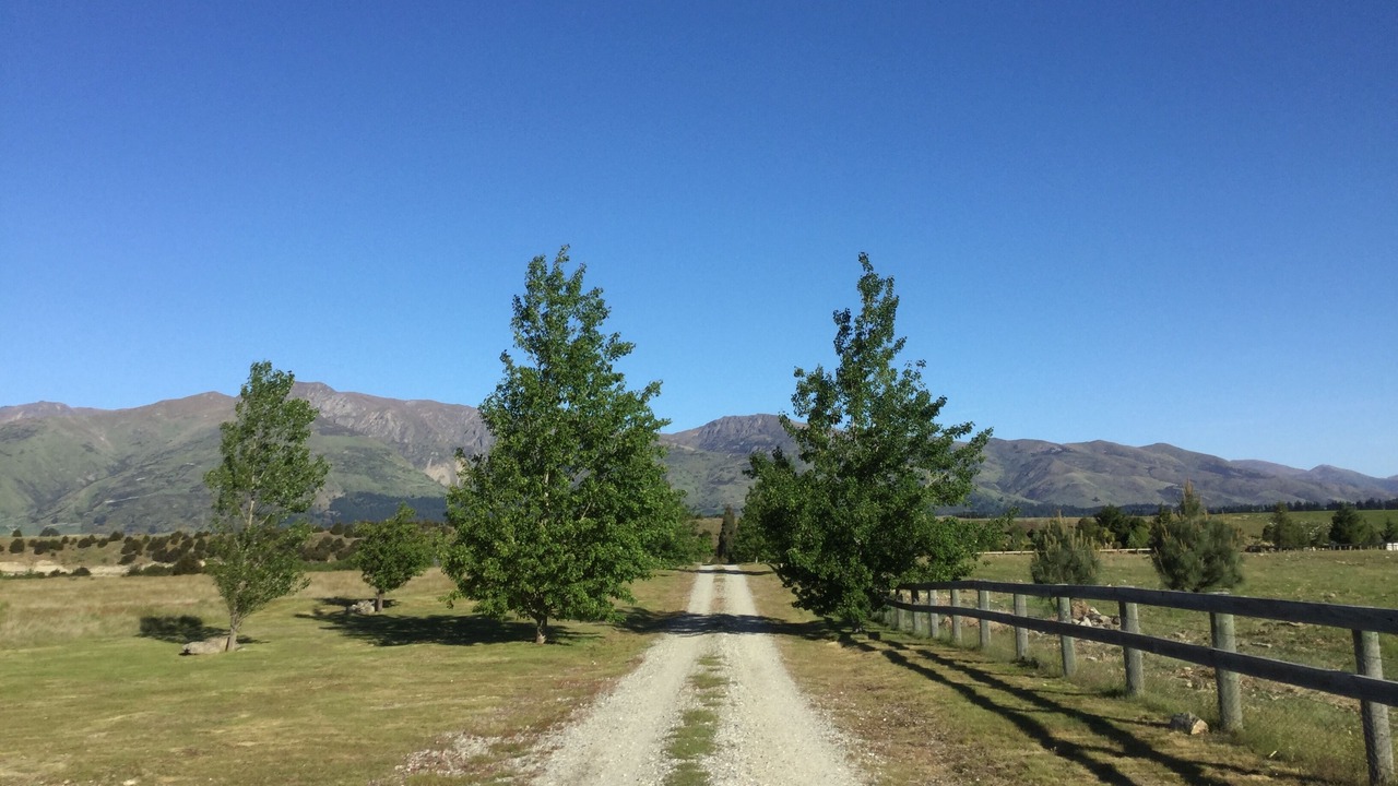 Photo of Others in Wanaka