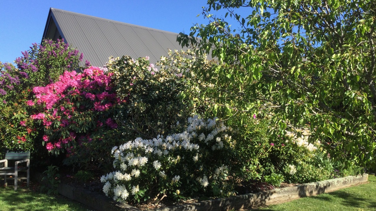 Photo of Outdoor in Wanaka