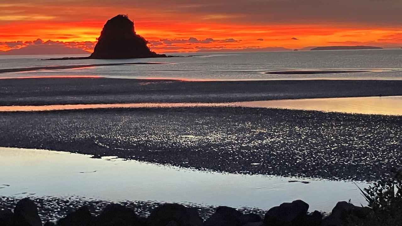 Photo of Others in Waiwera