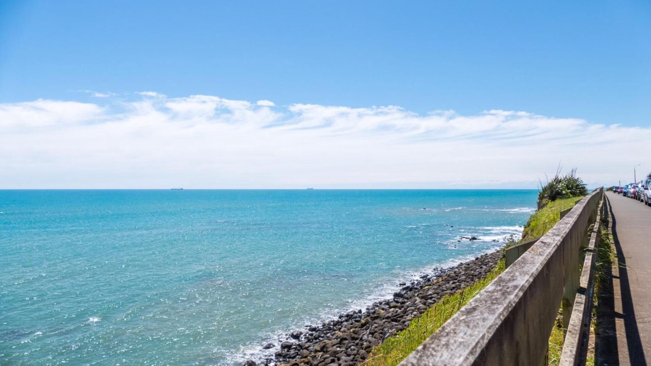 Photo of Others in New Plymouth