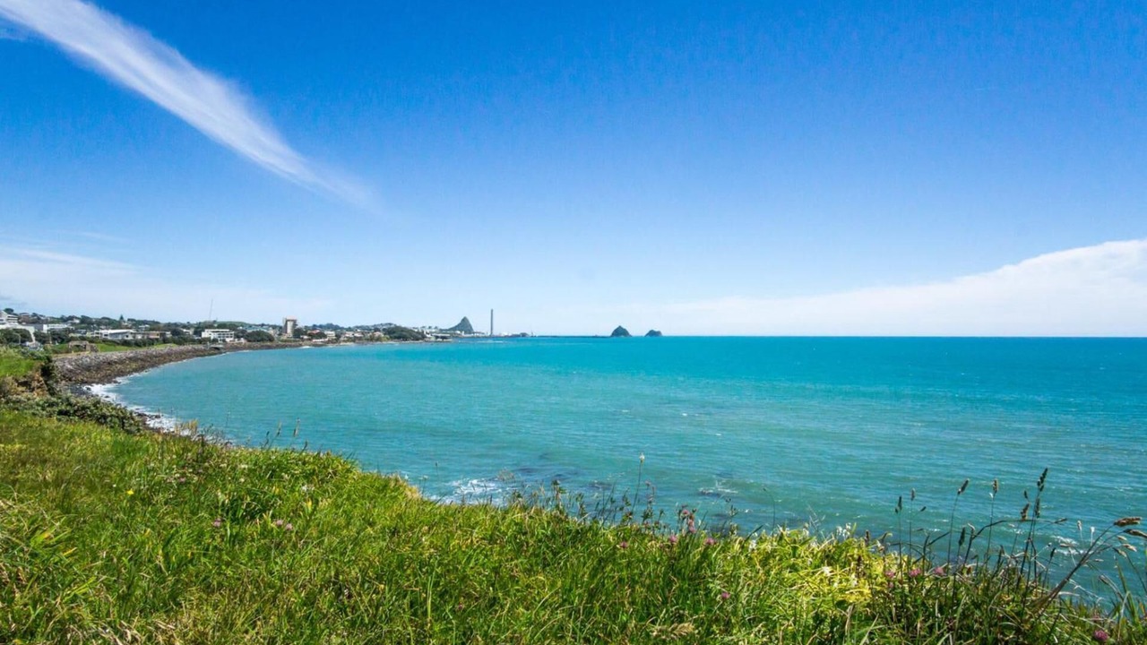 Photo of Others in New Plymouth