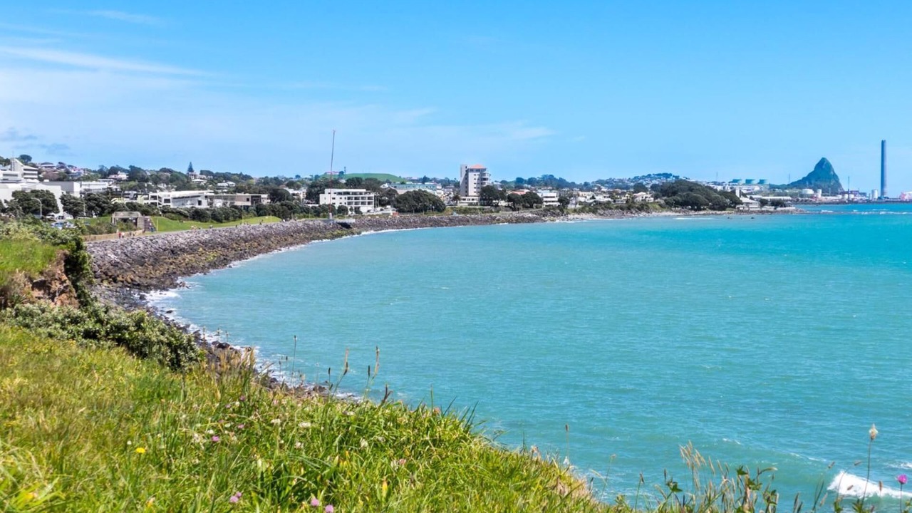 Photo of Others in New Plymouth