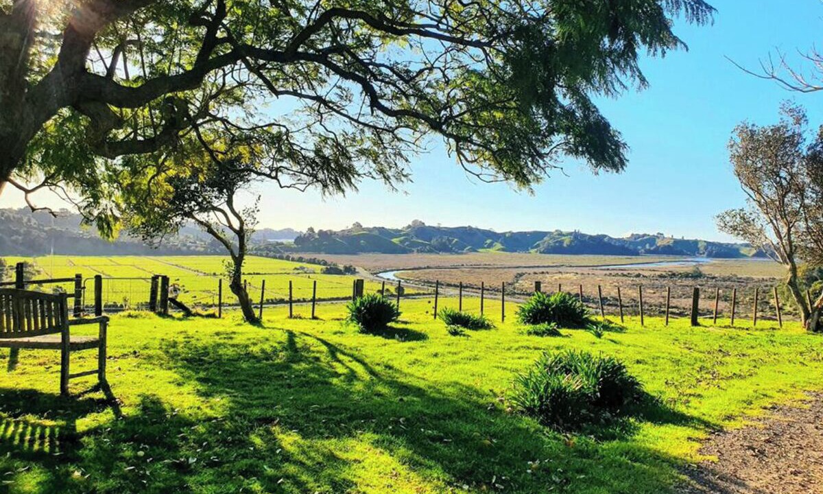 Photo of Others in Bay of Plenty Region