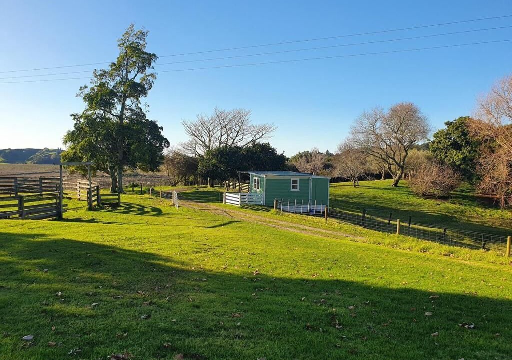 Photo of Others in Bay of Plenty Region