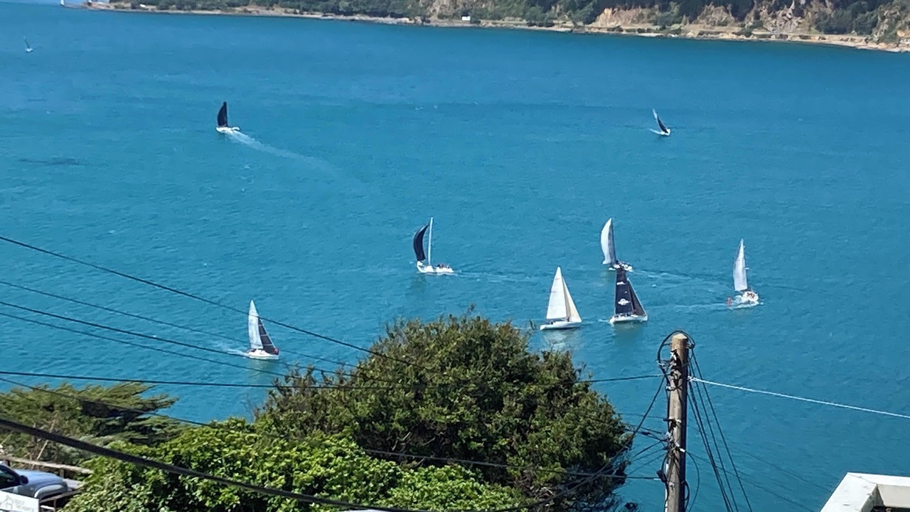 Photo of Others in Wellington