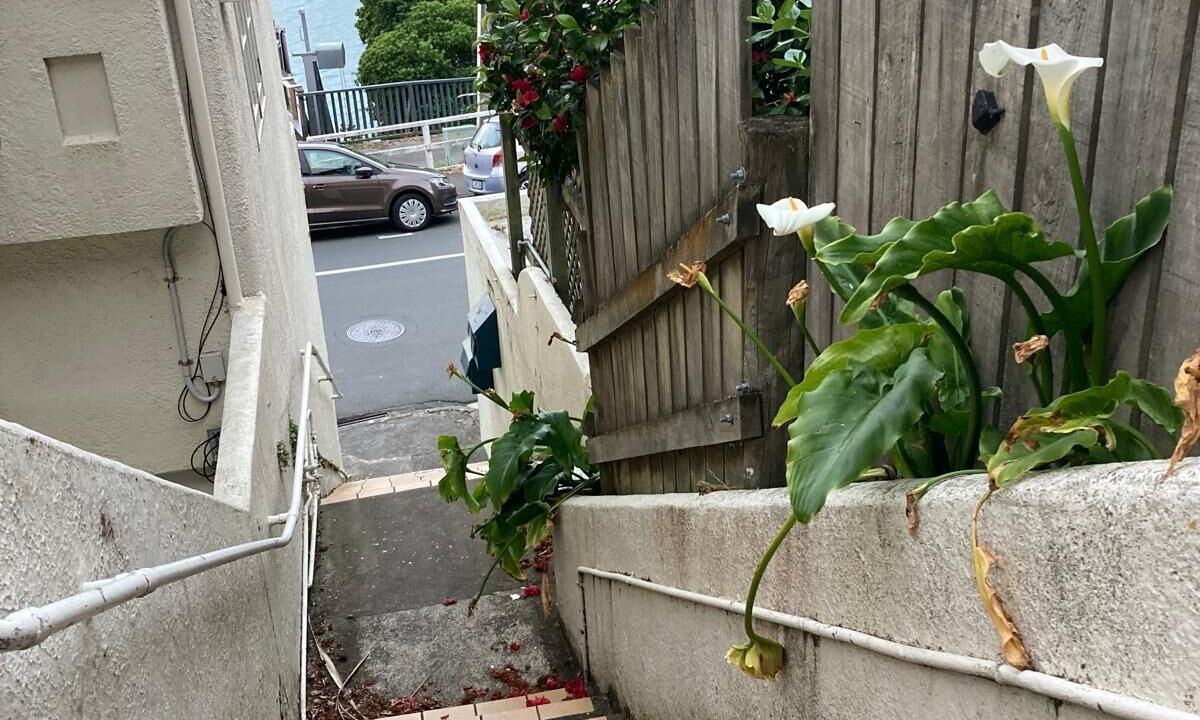 Photo of Outdoor in Wellington