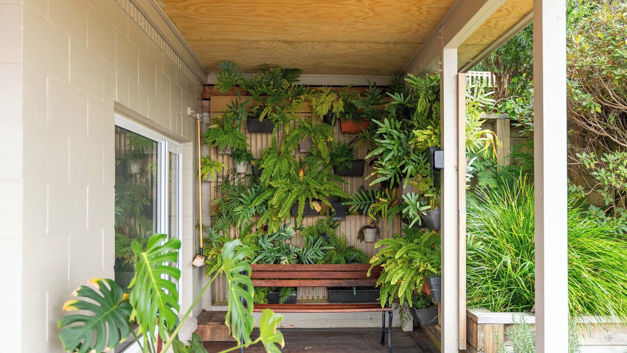 Photo of Outdoor in Acacia Bay