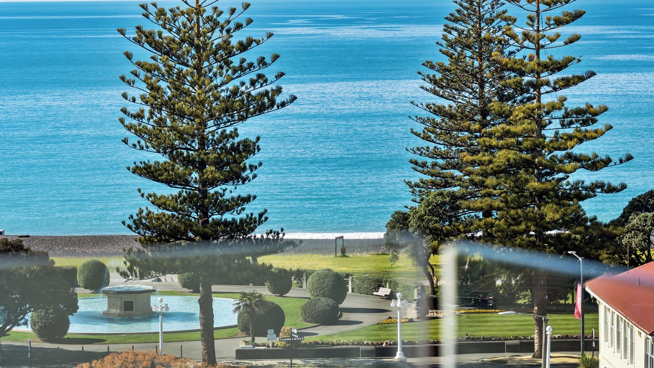 Photo of Outdoor in Napier