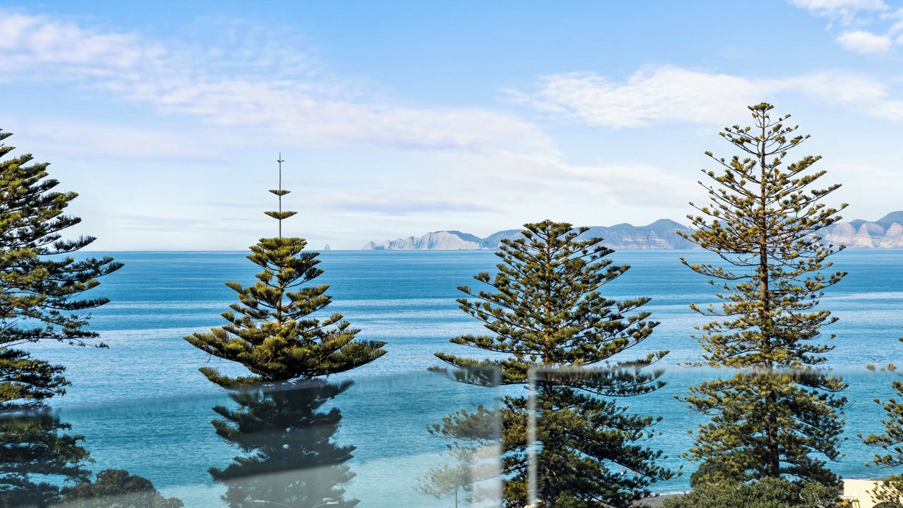 Photo of Others in Napier