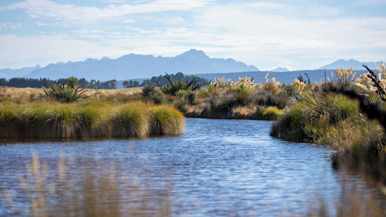 Photo of Others in Te Anau