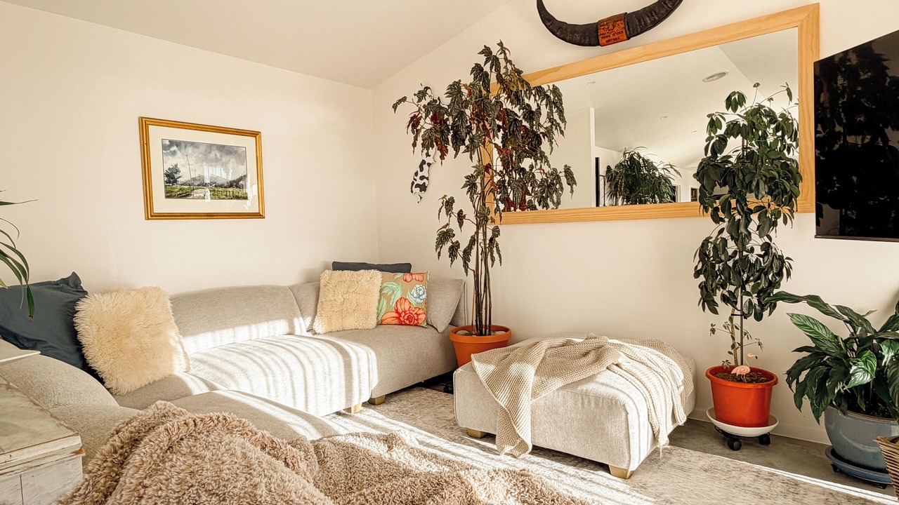Photo of Livingroom in Hokitika